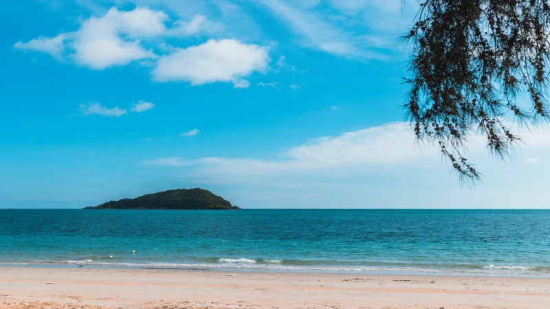 Descubra os encantos da Praia do Pequeá em Ilhabela