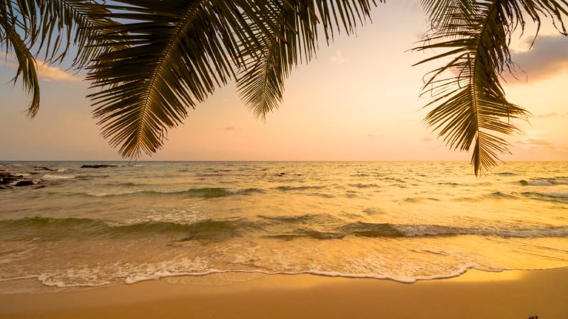 Visite a Praia da Fome em Ilhabela